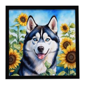 Siberian Husky in Sunflowers Framed Metal Print Bathroom, Kitchen, Office, Home Decor Wall Art Ready to Hang, Square, 8X8