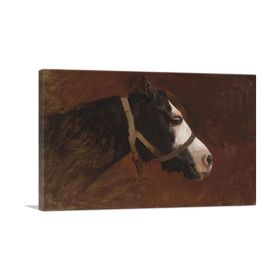 Profile Of a Horse (Type: Standard Framed Canvas Print, size: 28" x 20" / 70cm x 50cm (approx))