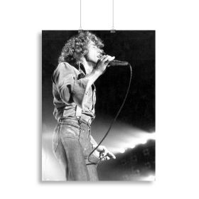 Roger Daltrey on stage Canvas Print or Poster (Type: Poster Print, size: 28" x 20" / 70cm x 50cm (approx))