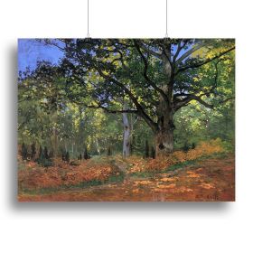 The Bodmer oak Fontainbleau forest by Monet Canvas Print or Poster (Type: Standard Framed Canvas Print, size: Medium (16" x 12"))