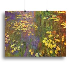 Nympheas water plantes Canvas Print or Poster (Type: Poster Print, size: Medium (16" x 12"))