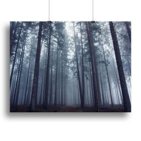 Mysterious Foggy Forest Canvas Print or Poster (Type: Standard Framed Canvas Print, size: 16" x 12" / 42cm x 30cm (approx))